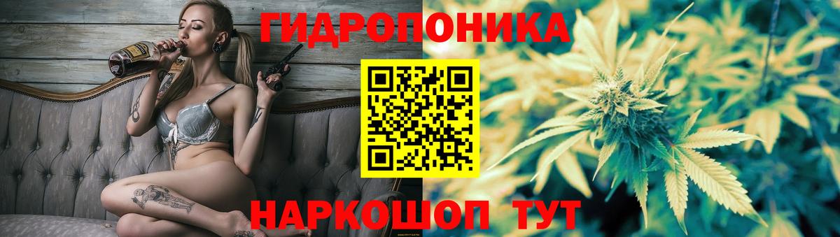 Отрадное  Шишки марихуана AK-47  Марихуана семена  Каннабис White Widow  Бошки марихуана тримм  Вход с VPN 